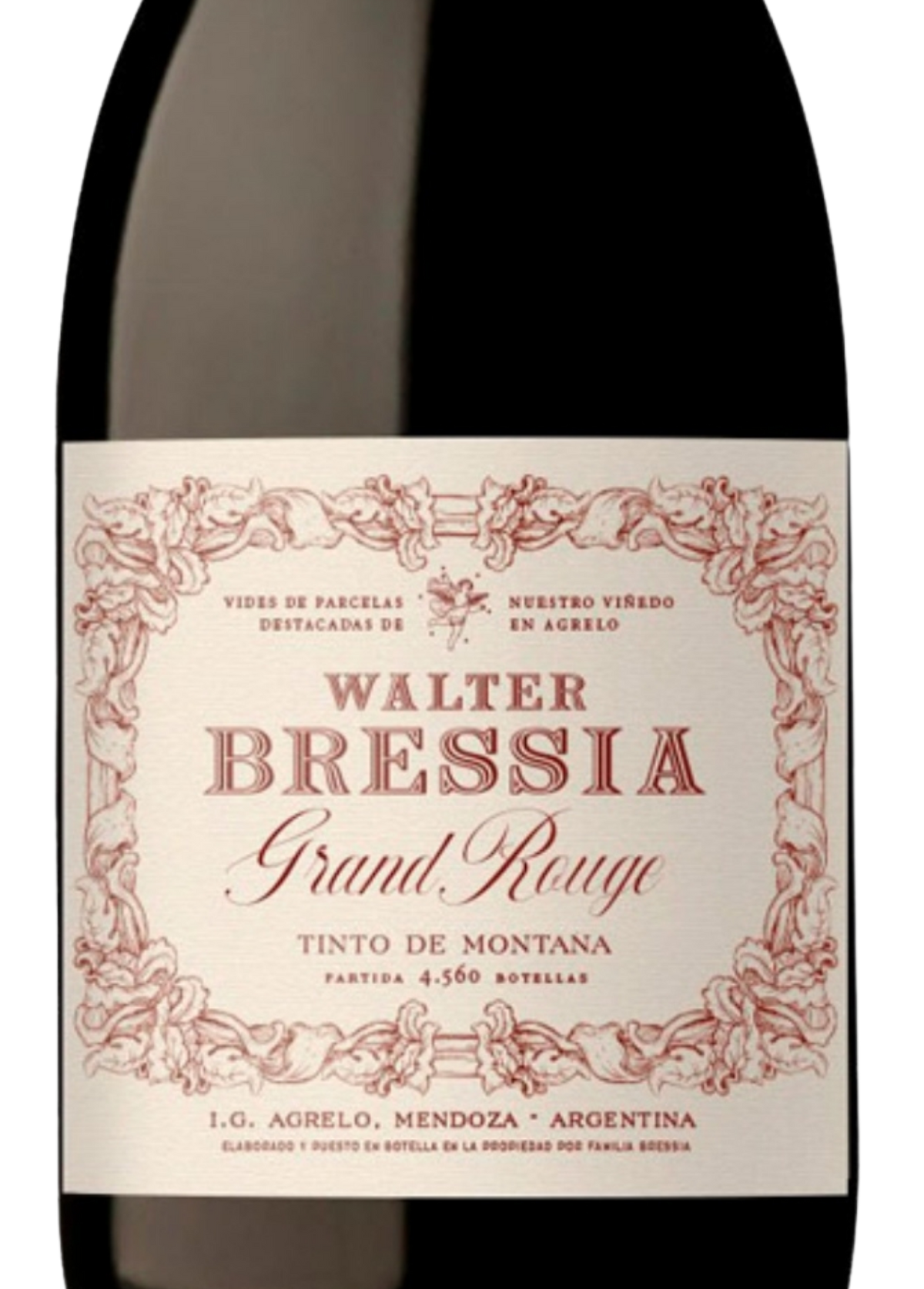 Walter Bressia – Grand Rouge